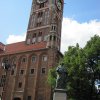 torun 38